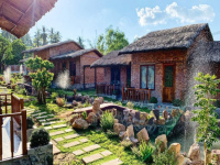 Dịch Vụ Lắp Mạng LAN Homestay Chuyên Nghiệp, Ổn Định, Giá Tốt