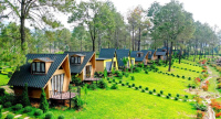 Dịch Vụ Wi‑Fi Cho Homestay Tốc Độ Cao – Giải Pháp Kết Nối Mạnh Mẽ, Không Gián Đoạn