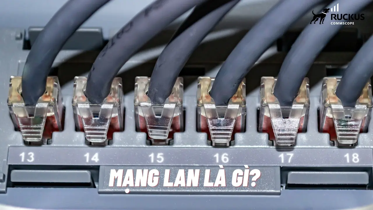 Giới thiệu tổng quan