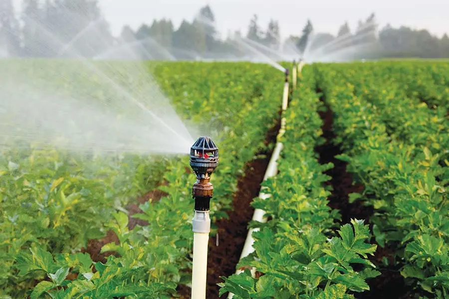 Hệ thống nhà thông minh cho nhà vườn