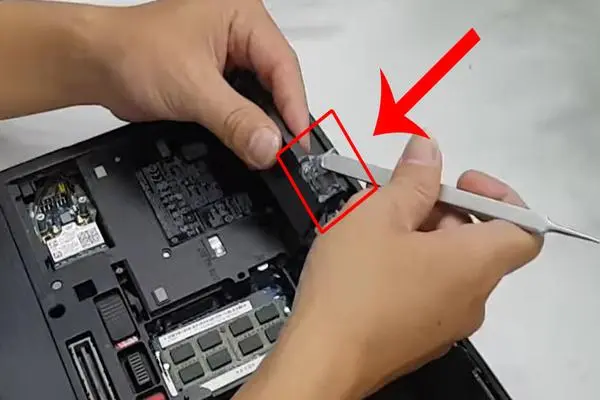 Lời khuyên bổ sung cho việc chăm sóc loa