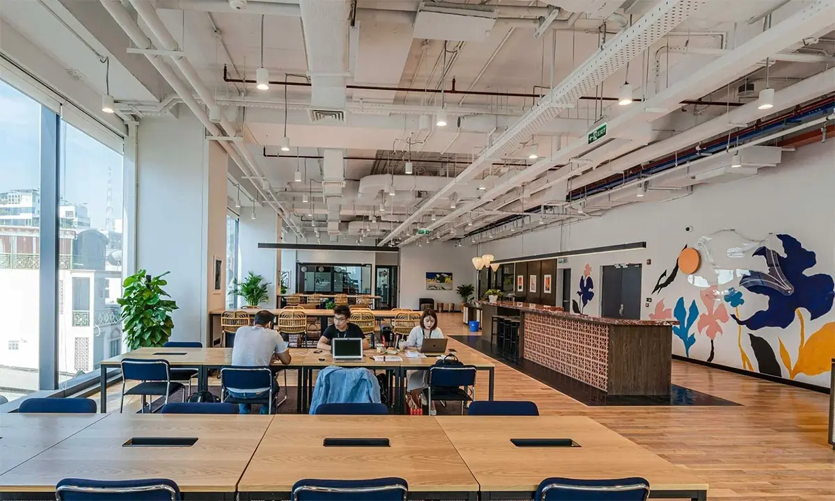 Lý do cần dịch vụ mạng LAN co-working chuyên nghiệp