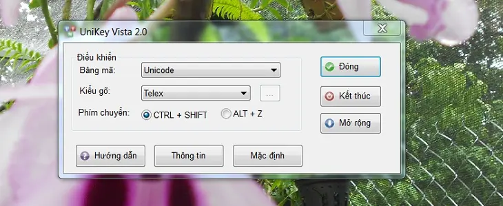 Sử dụng sai bảng mã và kiểu gõ