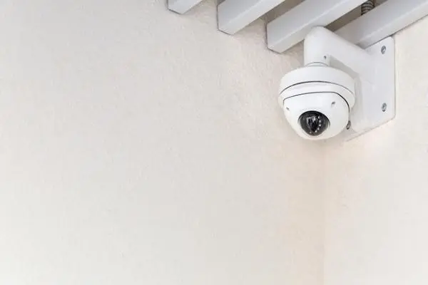 Xác định vị trí camera an ninh ở cửa sau và cửa bên