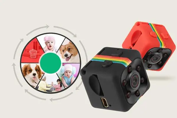 Máy dò chuyển động